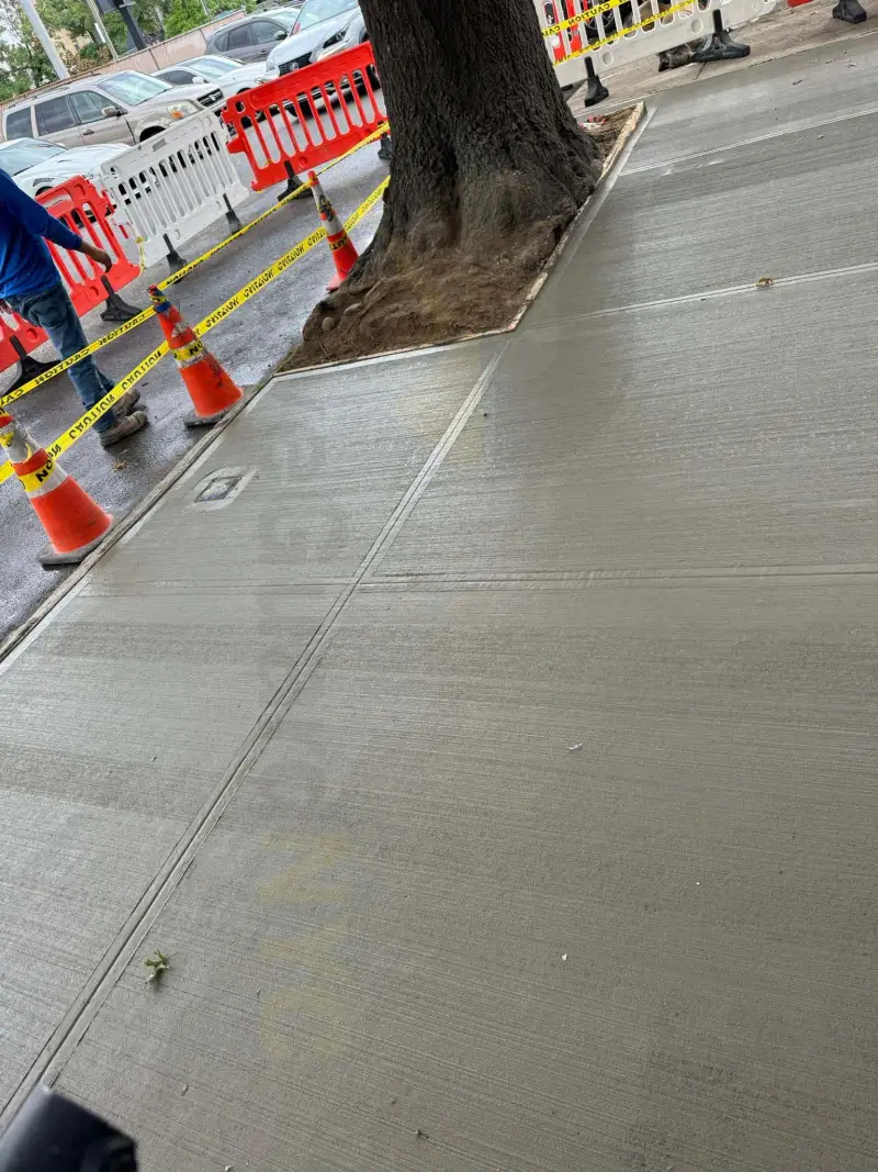 Replaced sidewalk flags around a street tree bed